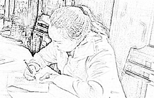 Lên mạng vu khống công an xã, người phụ nữ bị phạt 7,5 triệu đồng