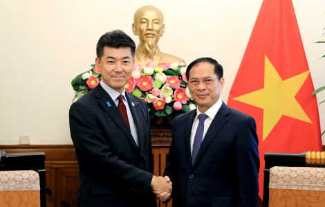Việt Nam là đối tác quan trọng hàng đầu của Nhật Bản