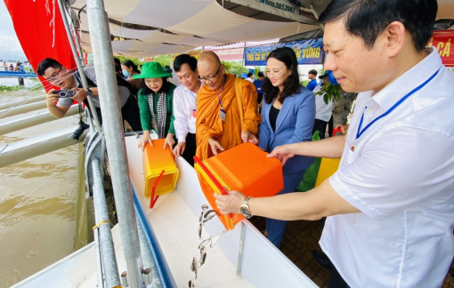 Thả hơn 1 triệu con cá giống quý hiếm xuống sông Hậu