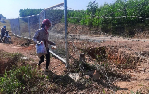 Vô tư tháo hàng rào bảo vệ để ra vào cao tốc