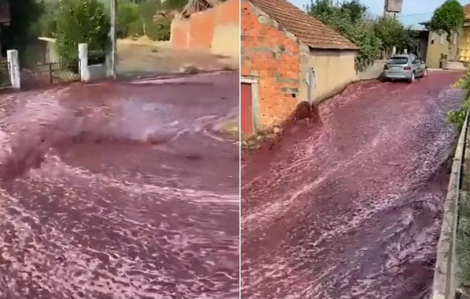 Thị trấn Bồ Đào Nha "chìm" trong 2,2 triệu lít rượu vang đỏ