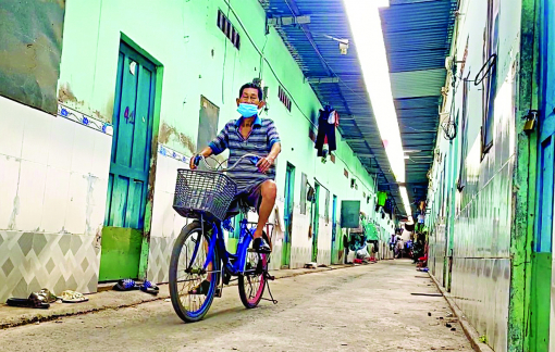 Bám trụ thành phố, xoay xở mưu sinh