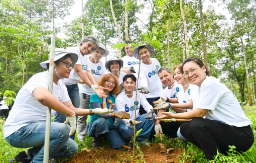 P&G Việt Nam và Central Retail Việt Nam thực hiện chuyến hành trình trồng rừng
