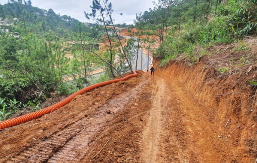 TP Đà Lạt: Làm rõ trách nhiệm vụ làm đường không phép vào khu du lịch quốc gia