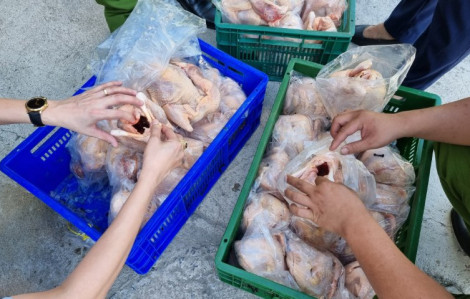 Tiêu hủy 8 tấn thịt gà bốc mùi hôi thối trên đường từ Nam ra Bắc tiêu thụ