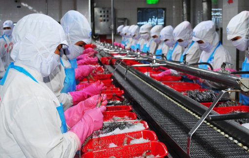 Kỳ vọng Festival tôm Cà Mau và diễn đàn kết nối sản phẩm OCOP vùng đồng bằng sông Cửu Long