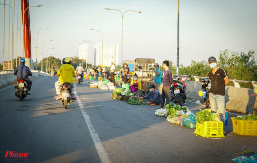 TPHCM đề xuất thí điểm Đội Quản lý trật tự xây dựng đô thị trực thuộc quận, huyện