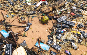Hàng ngàn bao thuốc lá dạt vào bờ biển ở Nghệ An