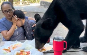 Người mẹ Mexico bảo vệ con trước vuốt gấu