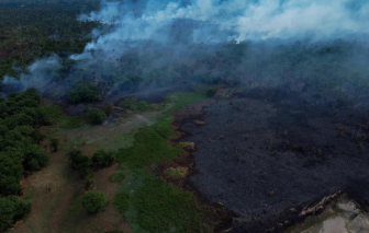 500.000 người có thể bị ảnh hưởng do hạn hán tại rừng Amazon