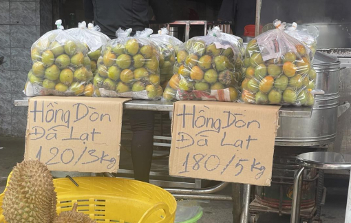 Hồng giòn trong nước được ưa chuộng