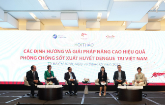 Các chuyên gia y tế bàn giải pháp tăng cường chiến lược phòng chống sốt xuất huyết tại Việt Nam