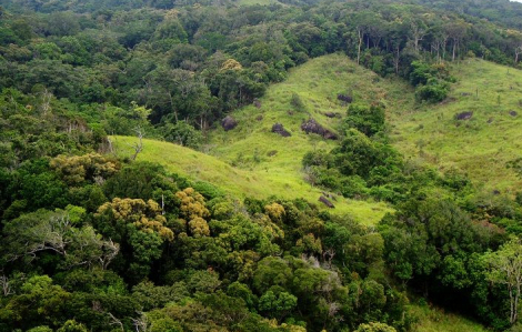 Tỉnh Ninh Thuận lên tiếng về dự án nghỉ dưỡng sử dụng gần 12 ha đất rừng