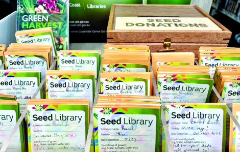 Thư viện hạt giống thúc đẩy sự kết nối giữa cộng đồng với môi trường tự nhiên