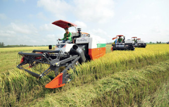 Nghịch lý ngân hàng thừa tiền, doanh nghiệp thiếu vốn - Kỳ cuối: Nên ưu tiên vốn cho sản xuất và xuất khẩu