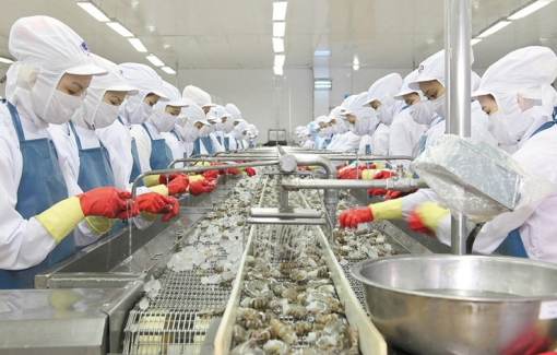 Cà Mau tổ chức Festival tôm vào tháng 12/2023 với nhiều hoạt động phong phú, hấp dẫn