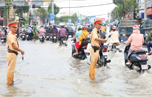 Cảnh báo triều cường đe dọa các vườn cây ăn trái ở miền Tây