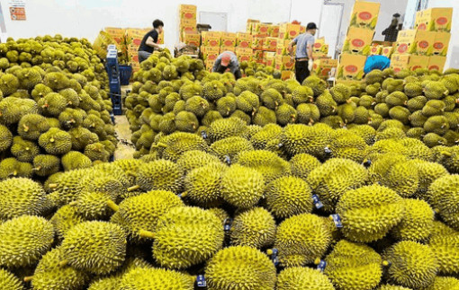 Xuất khẩu rau quả 9 tháng ước đạt 4,2 tỉ USD