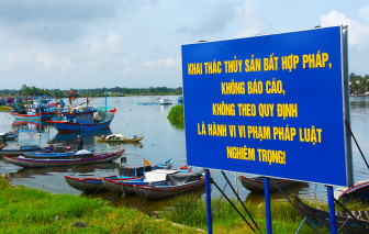 Chủ 2 tàu cá hoạt động không phép bị phạt gần 900 triệu đồng