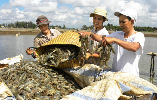 Dự báo xuất khẩu thủy sản phục hồi trong quý IV/2023