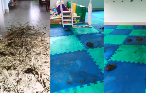 Lãnh đạo Sở LĐ-TB-XH nuôi bò phóng uế trong khu giáo dục trẻ khuyết tật, tự kỷ?