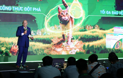 Boehringer Ingelheim ra mắt sản phẩm nhỏ gáy đặc trị ký sinh trùng cho mèo tại Việt Nam