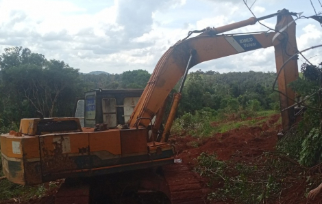 Đắk Nông: Phát hiện vụ phá rừng với diện tích hơn 7.000 mét vuông