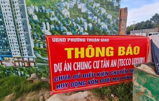 Kiến nghị xử phạt chủ đầu tư dự án Tecco Luxury vì đào đất trái phép trong dự án