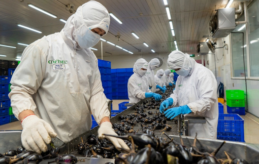 SATRA - Nâng cao chất lượng và uy tín với thị trường Nhật Bản