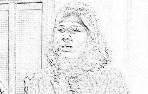 Bà Phương Hằng đòi bà Hàn Ni, ông Văn Sỹ bồi thường 300-500 tỉ đồng