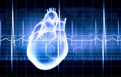 Chuyên gia điểm danh 12 dấu hiệu của bệnh tim “thầm lặng”