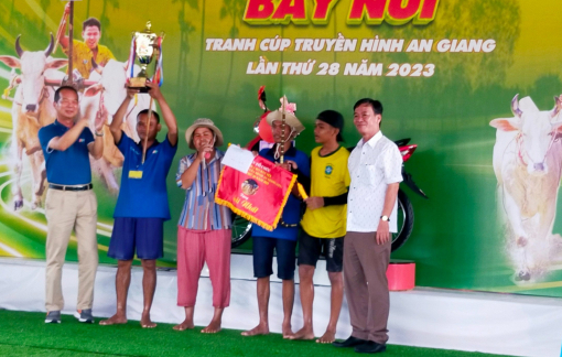 Đôi bò giành giải Nhất hội đua bò Bảy Núi An Giang năm 2023