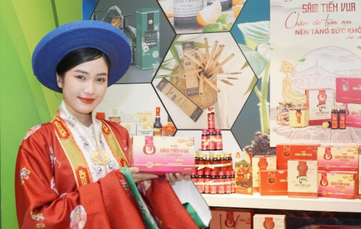 Sâm Tiến Vua nổi bật tại Triển lãm đặc sản Quảng Bình