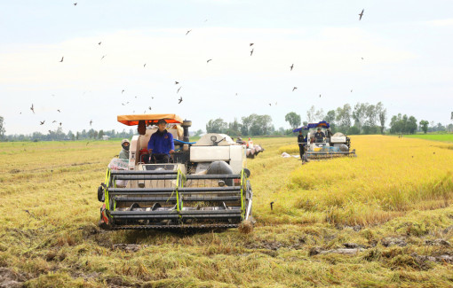 Để chiếc bánh nông sản giá trị hơn