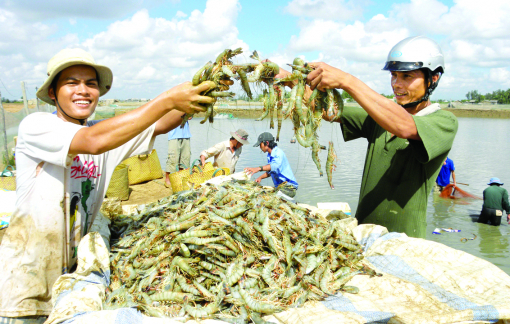 Nâng cao giá trị, đưa nông sản Việt vươn xa