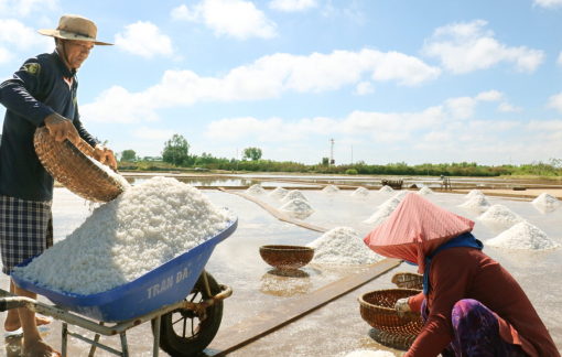 Tích hợp đa ngành cho hạt muối