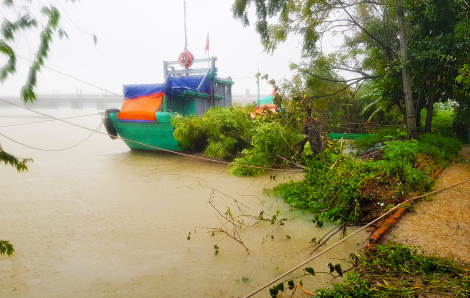 Sạt lở uy hiếp nhiều tàu cá tiền tỉ ở Quảng Ngãi
