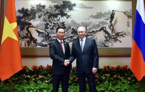 Chủ tịch nước gặp Tổng thống Nga và hội kiến Ủy viên trưởng Nhân đại toàn quốc Trung Quốc