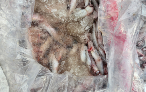 Phát hiện 4,5 tấn cá khoai ngâm formol