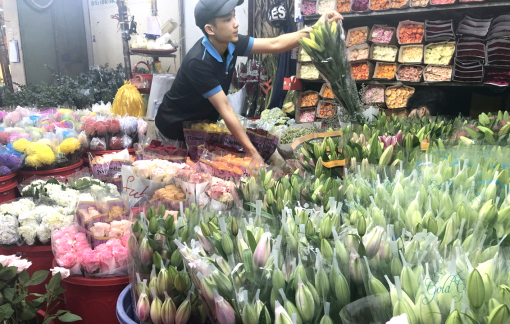 Rác theo hoa từ Đà Lạt đổ về các thành phố lớn