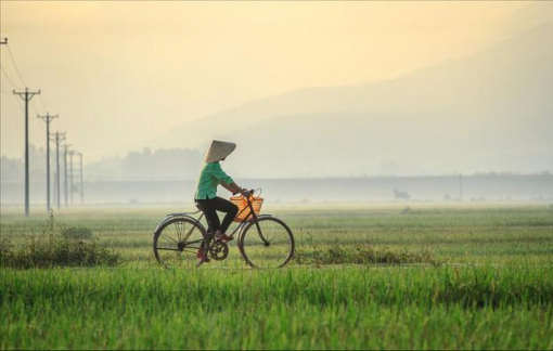 Tiếng “cọt kẹt” trong giấc mơ