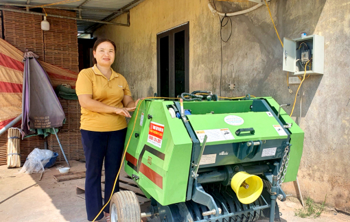 Những phụ nữ làm lúa trên cánh đồng trăm mẫu