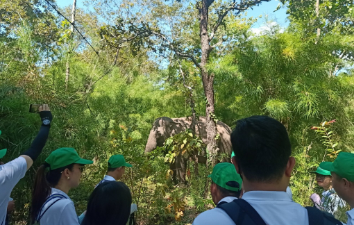 Một cán bộ kiểm lâm bị trúng đạn khi đang tuần tra bảo vệ rừng