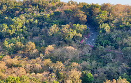 Núi Dinh, đâu chỉ dành riêng cho "dân trekking"!