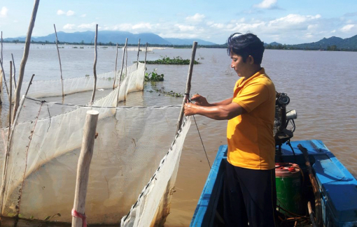 Chật vật mưu sinh trong mùa lũ cạn