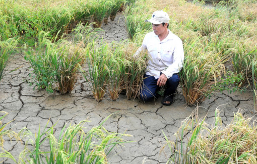 Thích ứng với biến đổi tự nhiên ở đồng bằng