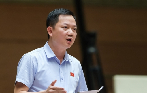 Tranh luận phim Đất rừng phương Nam: "Không có lửa sao có khói"