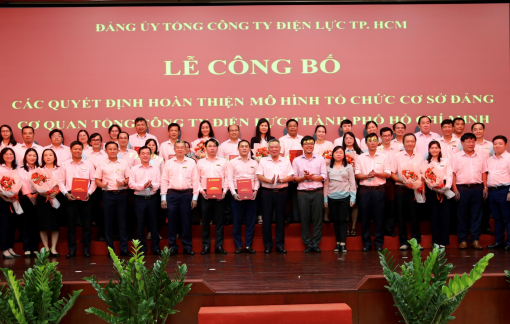 Hoàn thiện mô hình tổ chức cơ sở Đảng cơ quan Tổng công ty Điện lực TPHCM