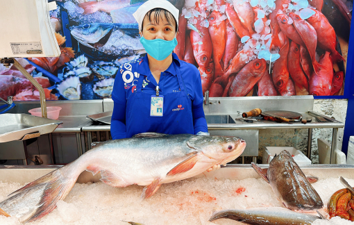 Co.opmart, Co.opXtra: Nhiều chương trình bình ổn giá hấp dẫn