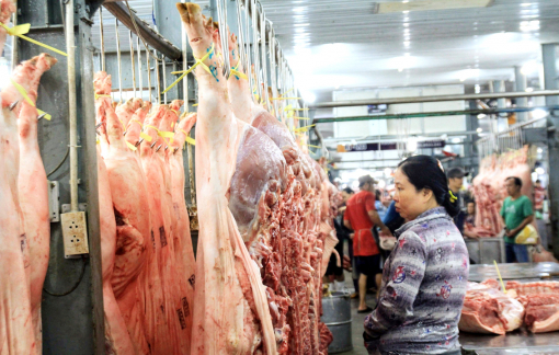 Giá heo hơi xuống dưới 50.000 đồng/kg, người nuôi lỗ